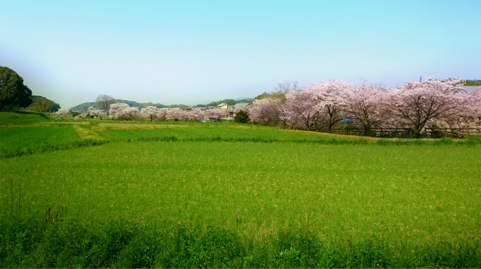 明日香村特定地域づくり事業協同組合のニュース